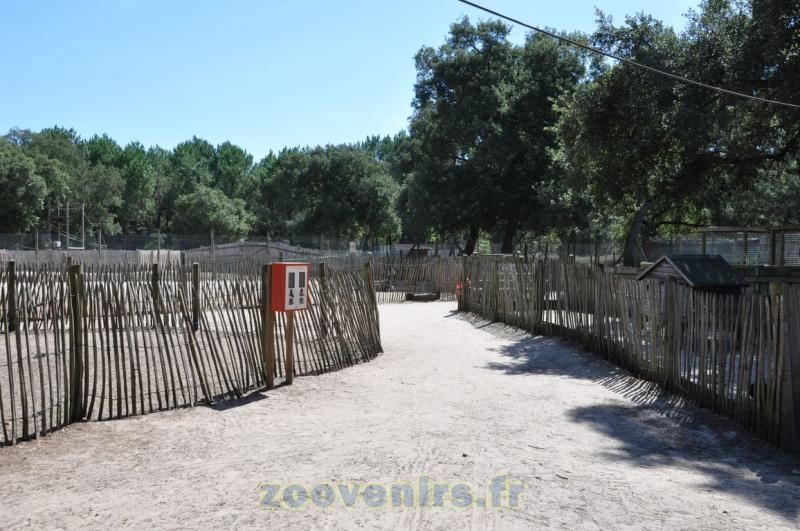 Mini-ferme