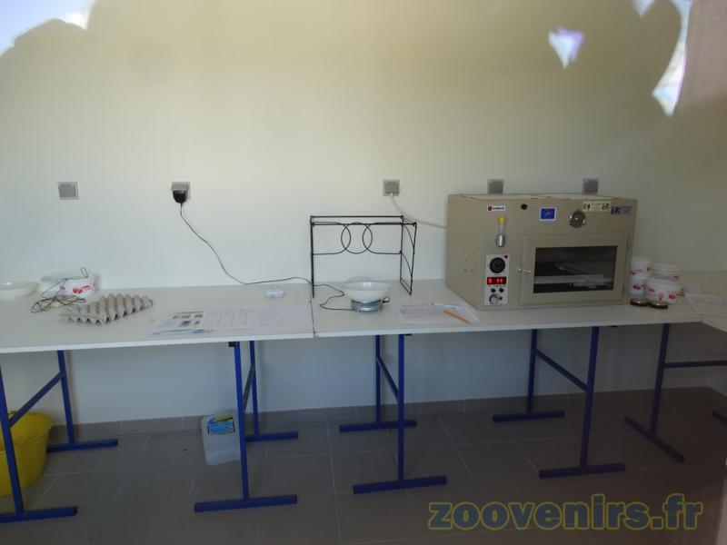 Elevage conservatoire des oiseaux des plaines