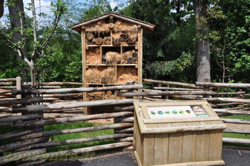Hôtel à insectes