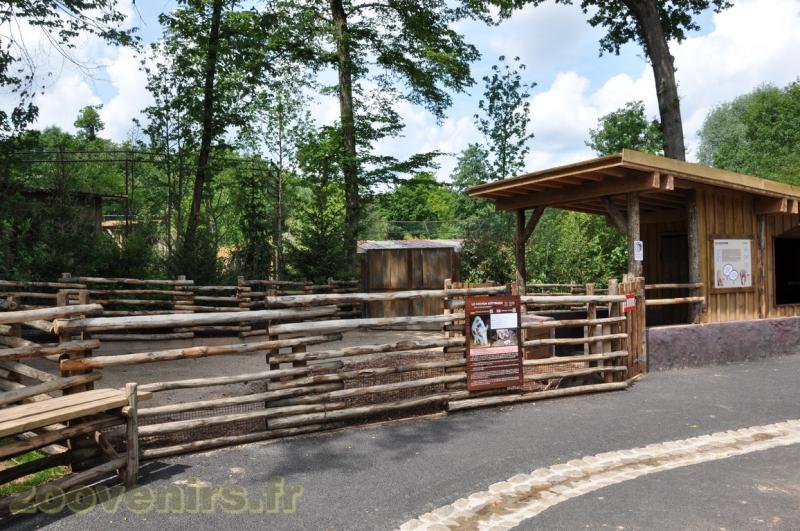 Cochon Götttingen