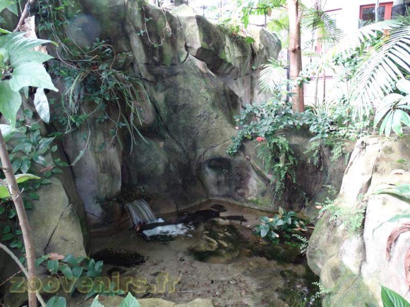 Plan d'eau