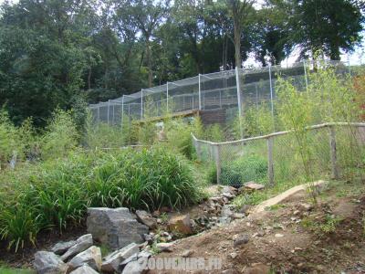 Tigre de Sumatra - 2007