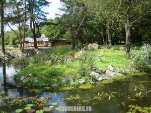 Lémuriens