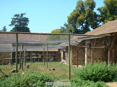 Grande volière - 2009