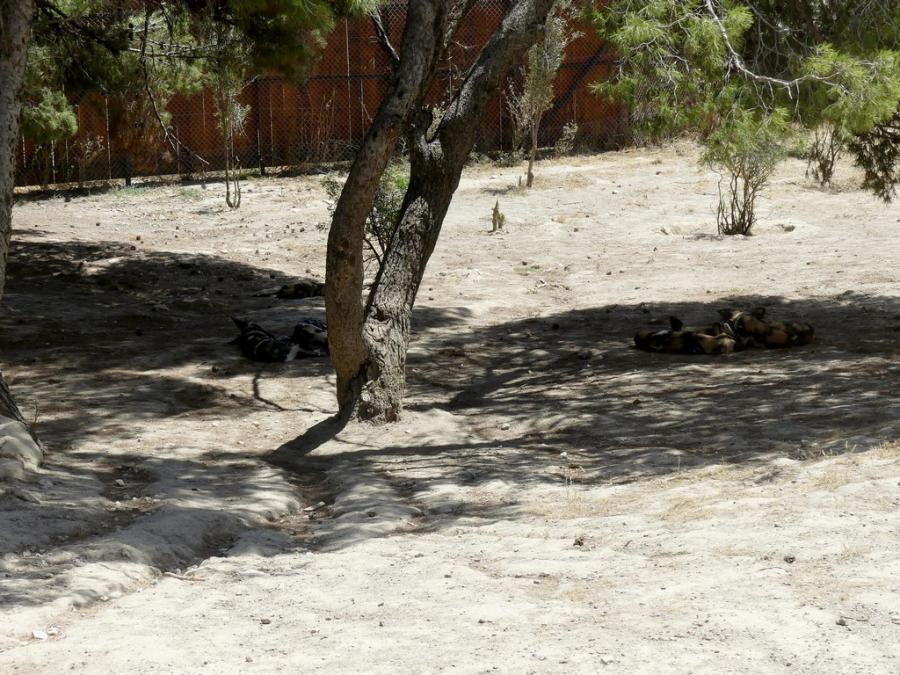 Territoire des lycaons