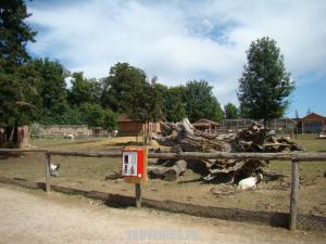 La mini-ferme