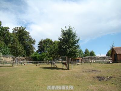 La mini-ferme - 2009