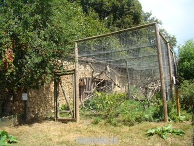 Volères des perroquets - 2009