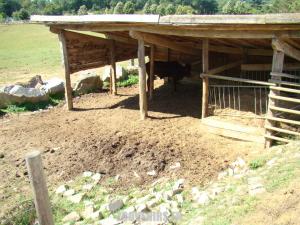 Abris des ruminants