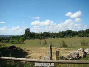 Plaine africaine