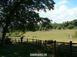 Plaine africaine