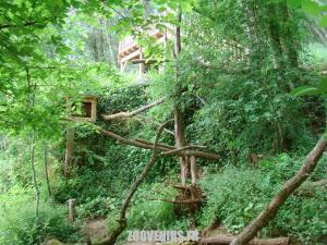 Chouette-Effraie