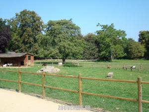 Mini-ferme