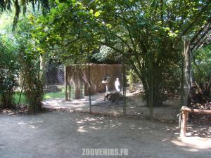 Marabout
