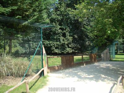 Loup d'Europe - 2011