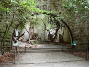 Hibou Grand-duc