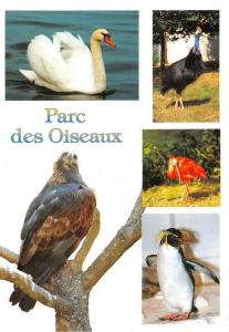 Aigle royal, Cygne muet, Casoar, Ibis rouge, Gorfou