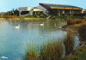 La maison des oiseaux exotiques
