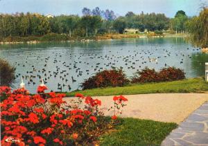 Le grand étang - 1982