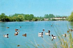 Le lac