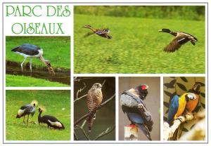 Parc ornithologique de la Dombes avec ses 400 espèces d’oiseaux