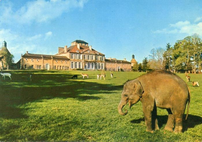 Eléphant devant le château
