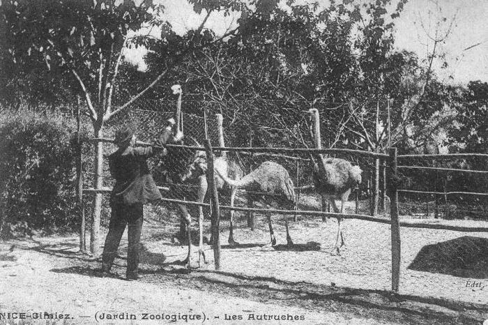 1907