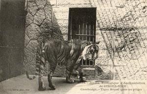 06 - Jardin d’Acclimatation