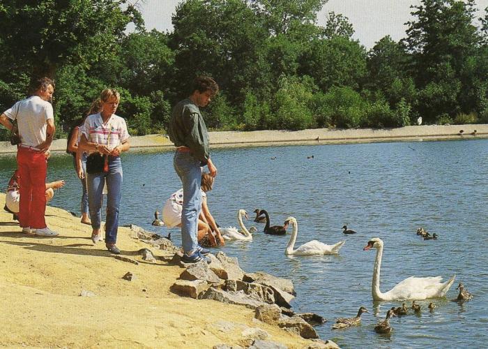 Etang des oiseaux - 1985