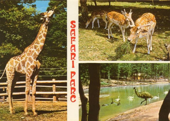 Safari - Parc - 1977