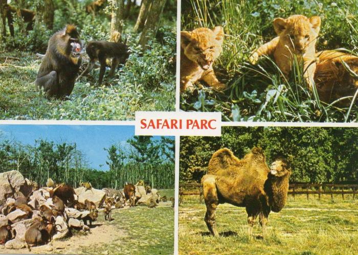 Safari - Parc