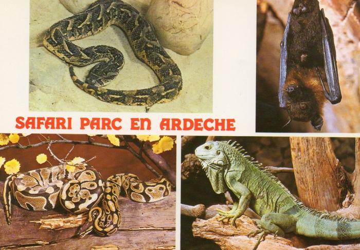 Safari Parc - 1980