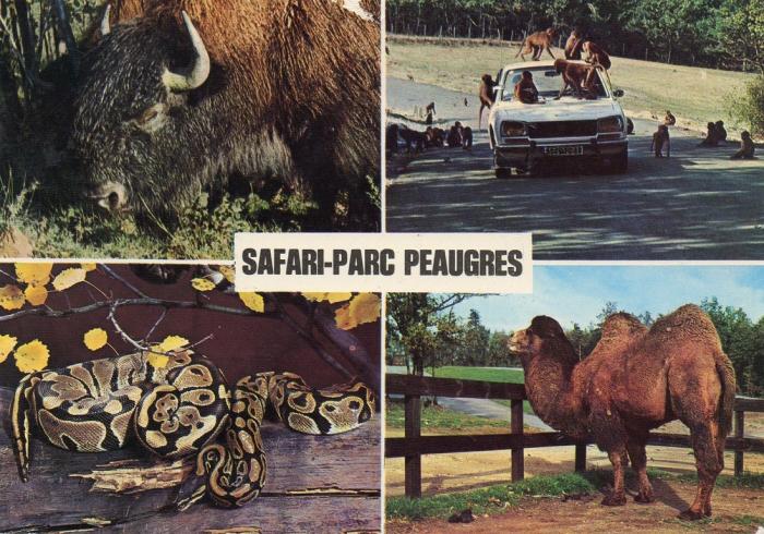 Safari Parc du Haut-Vivarais - 1977