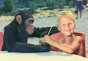 "Judy" et son copain