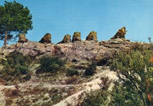 Lions