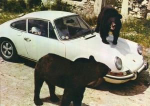 Ours du Tibet