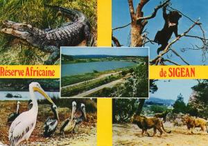 Réserve africaine de Sigean - 1983