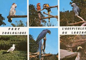 12 - Zoo Caussenard