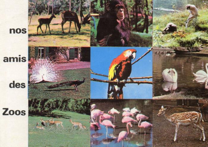 Multivue - 1983