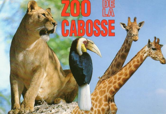 Multivue - 1992