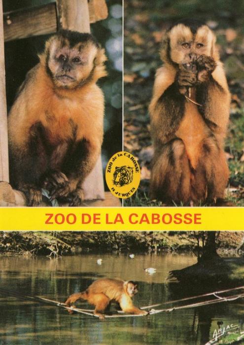 Capucins - 1991