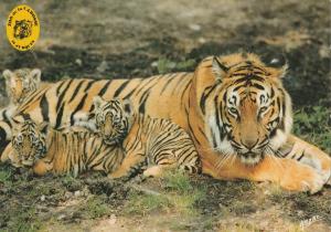 14 Zoo de Jurques 