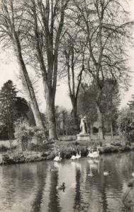 Les Flamants