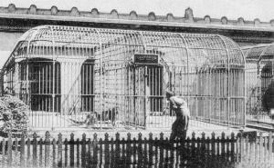 Cage de la panthère