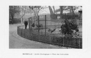 Parc de l'autruche
