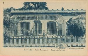 Cage aux lions