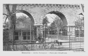 Parc des mouflons