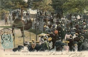 Le jardin d'acclimatation - 1905