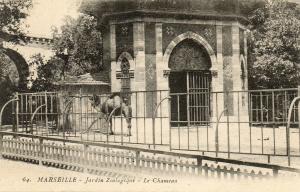 Le chameau
