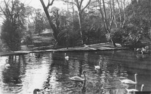 Jardin zoologique - 1938